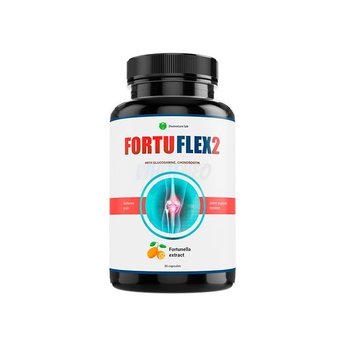 ⤷ Fortuflex2 - pilules de récupération articulaire