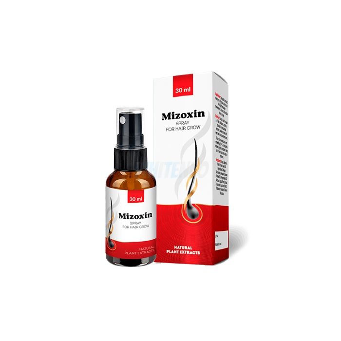 ⤷ Mizoxin - producto de restauración del cabello