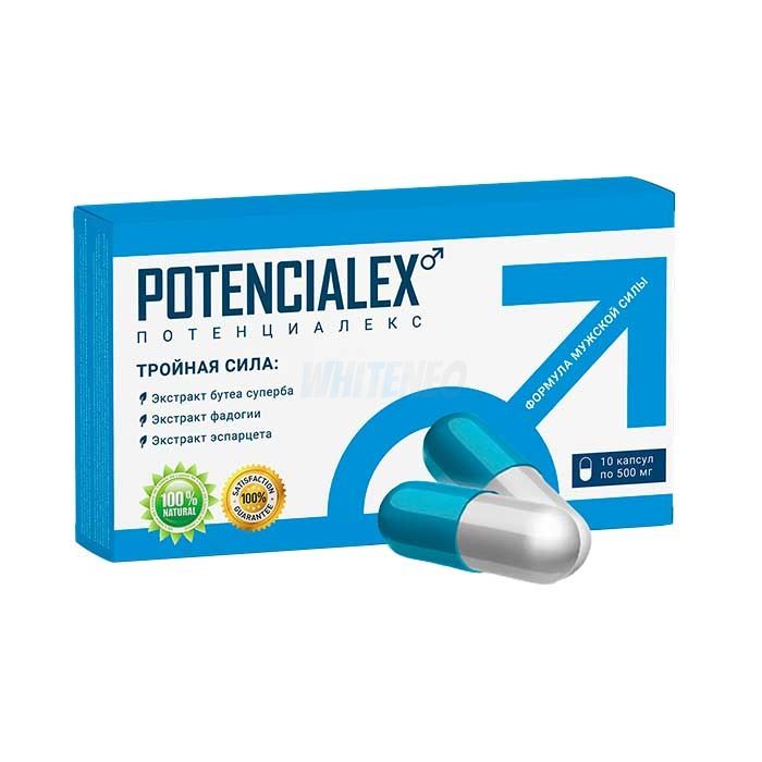 ⤷ POTENCIALEX - gyógyszer a hatékonyságért